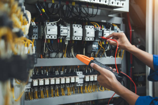 Best Electric Panel Repair  in Peotone, IL