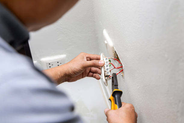Best Residential Electrician Services  in Peotone, IL