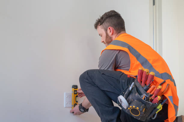Best Electric Panel Repair  in Peotone, IL