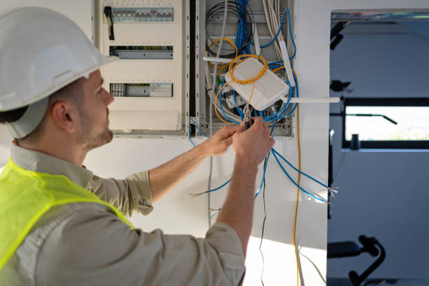 Best Affordable Electrician  in Peotone, IL